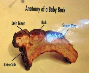 Anatomy of the Baby Back Rib