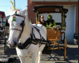 grinch-carriage-ride