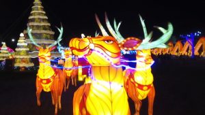 lantern-light-festival-raindeer