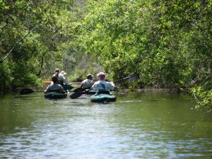 Kayakers on canal