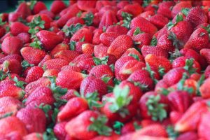 Strawberry Faire - Strawberries4-26-2017 2-40-54 PM