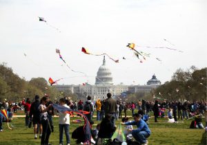 Cherry Blossom kite-fest