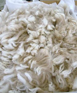 Wool 8de3421d679f6b2f85cecd8e89c80b05