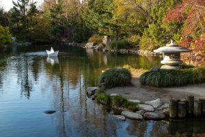 Tom-Hennessy-LGBG-Origami-boat-1250-asian-valley-1024x682